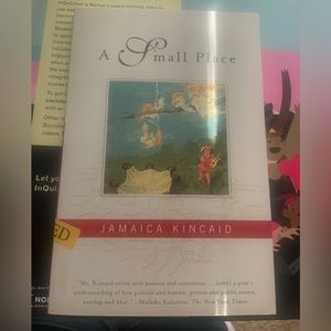 a small place book